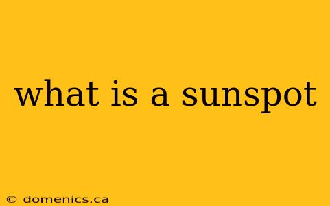 what is a sunspot