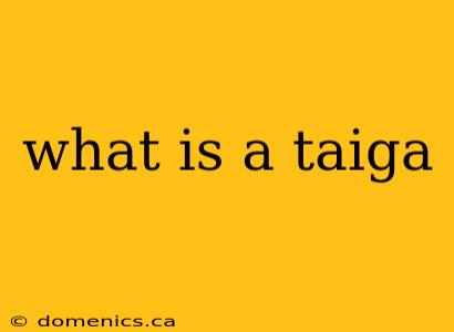 what is a taiga