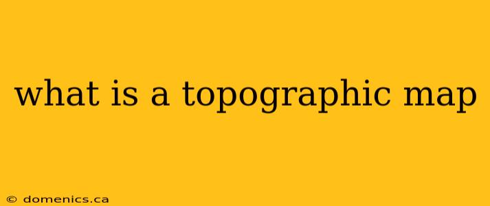 what is a topographic map