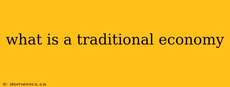 what is a traditional economy