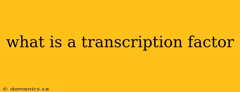 what is a transcription factor