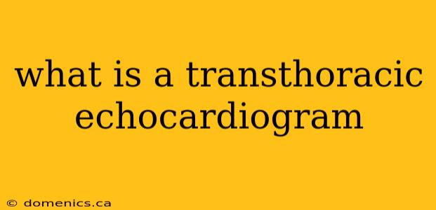 what is a transthoracic echocardiogram