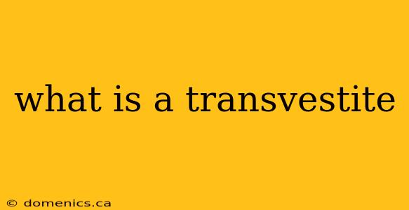 what is a transvestite