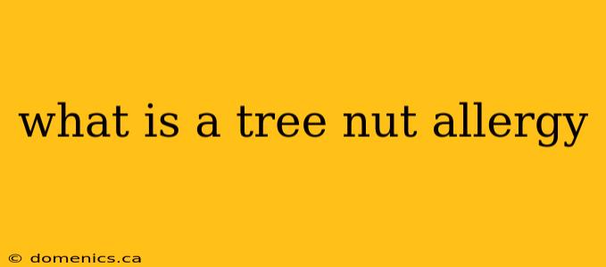 what is a tree nut allergy