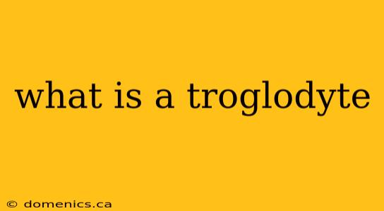 what is a troglodyte