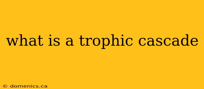 what is a trophic cascade