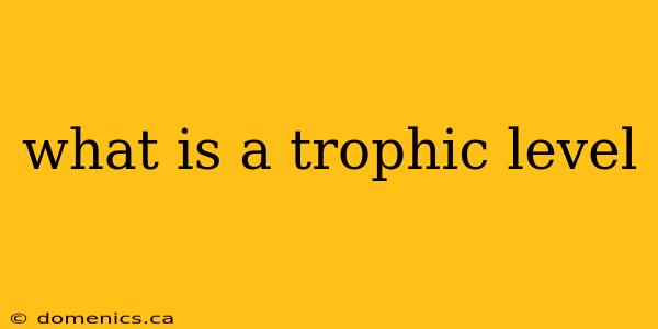 what is a trophic level