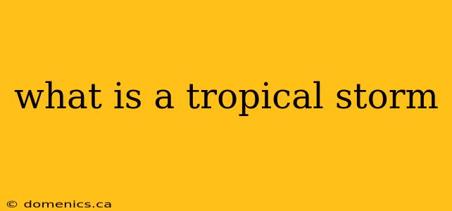 what is a tropical storm