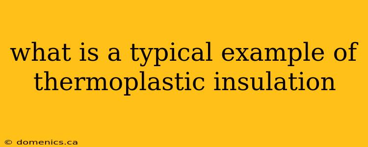 what is a typical example of thermoplastic insulation