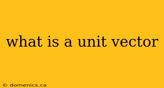 what is a unit vector