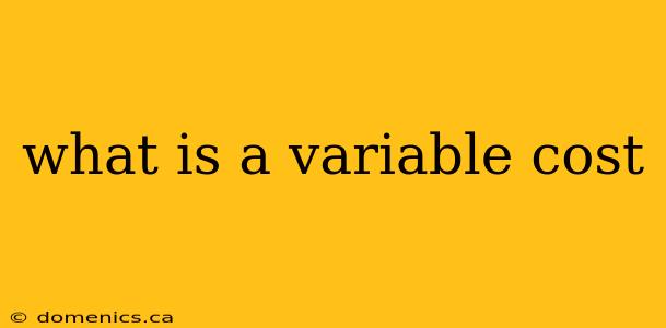 what is a variable cost