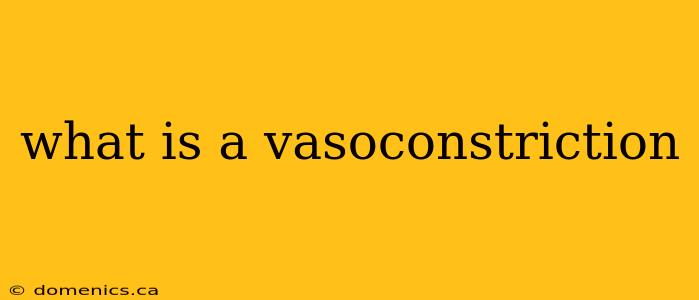 what is a vasoconstriction