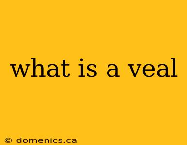 what is a veal