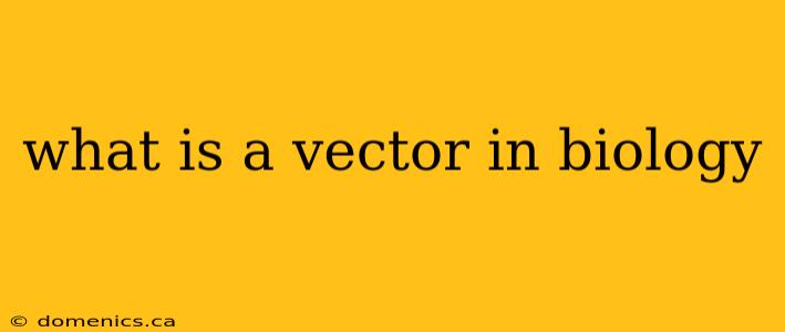 what is a vector in biology