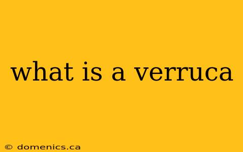 what is a verruca