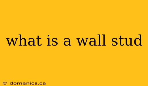 what is a wall stud