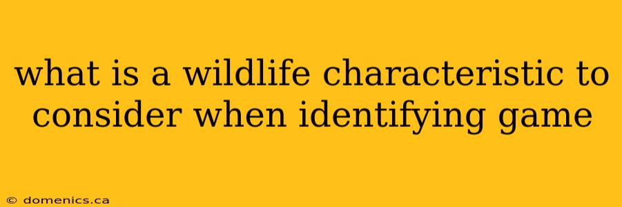 what is a wildlife characteristic to consider when identifying game