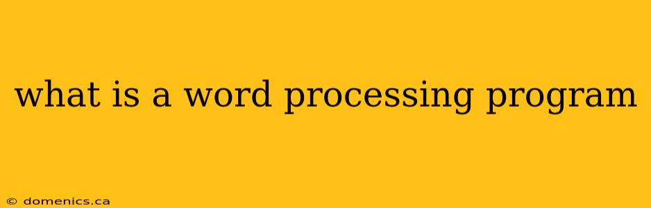 what is a word processing program