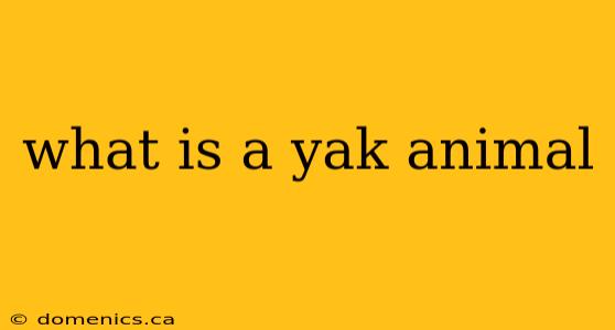 what is a yak animal