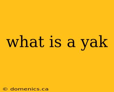 what is a yak