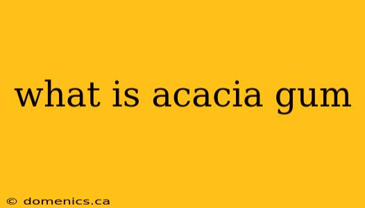 what is acacia gum