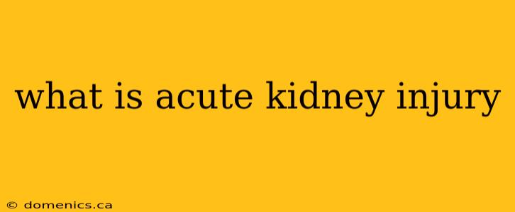 what is acute kidney injury