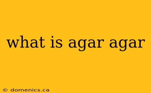 what is agar agar