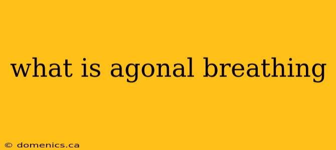 what is agonal breathing