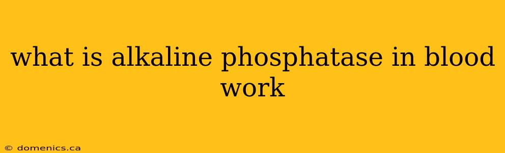 what is alkaline phosphatase in blood work