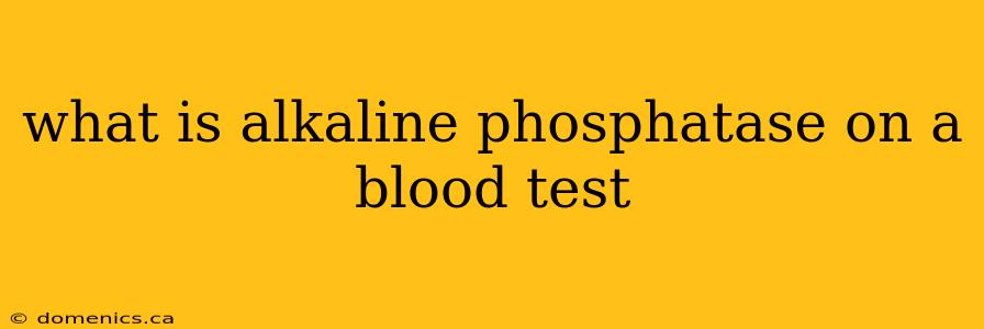 what is alkaline phosphatase on a blood test