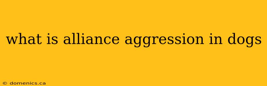 what is alliance aggression in dogs