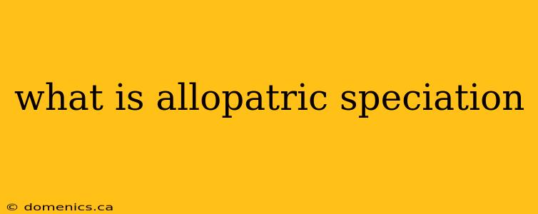 what is allopatric speciation