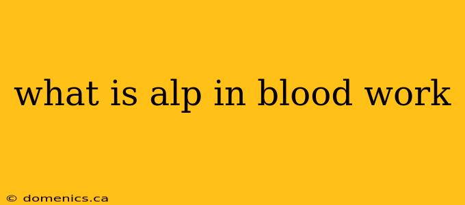 what is alp in blood work