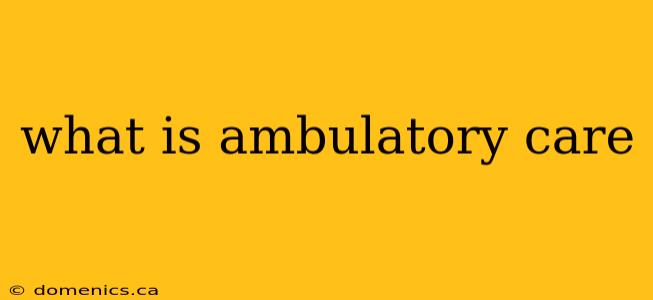 what is ambulatory care