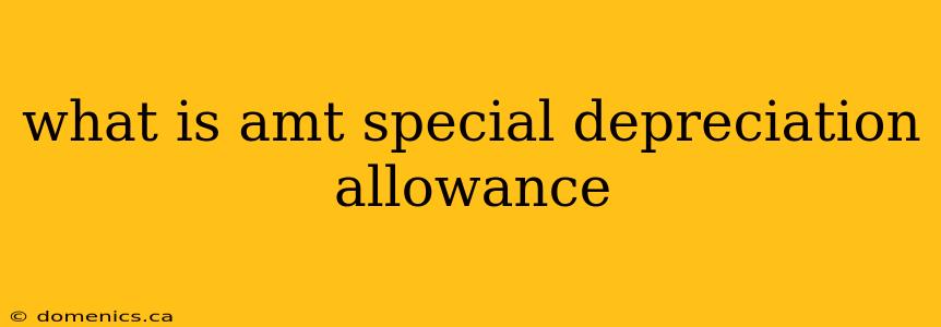 what is amt special depreciation allowance