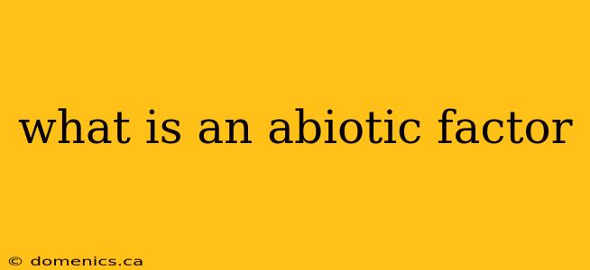 what is an abiotic factor