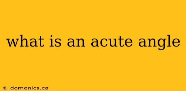 what is an acute angle