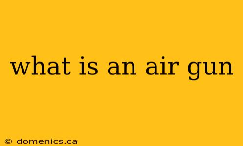 what is an air gun