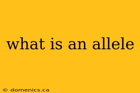 what is an allele