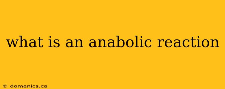 what is an anabolic reaction