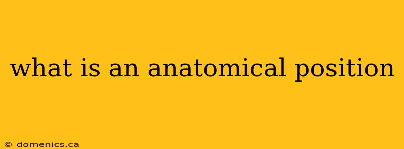 what is an anatomical position