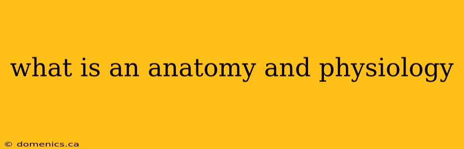 what is an anatomy and physiology