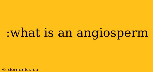 :what is an angiosperm