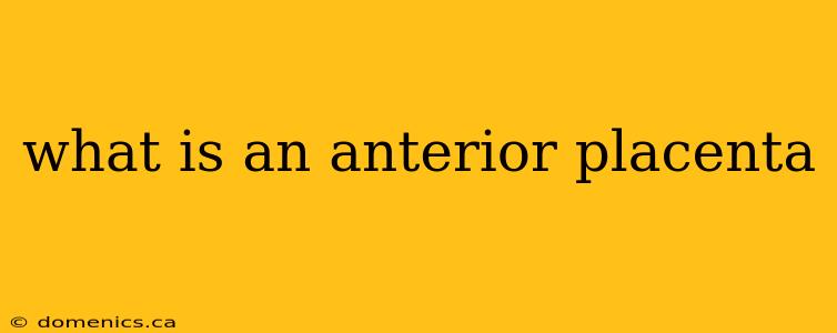 what is an anterior placenta