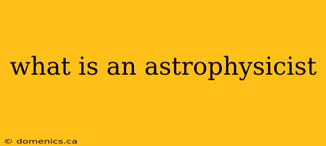 what is an astrophysicist