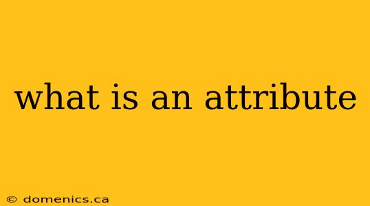 what is an attribute