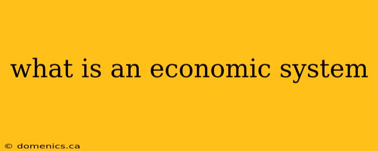 what is an economic system