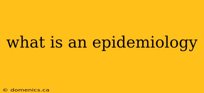 what is an epidemiology