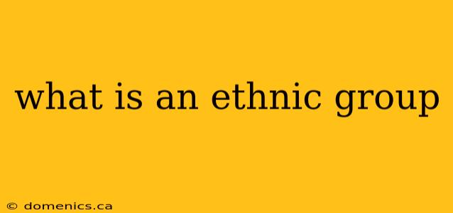 what is an ethnic group