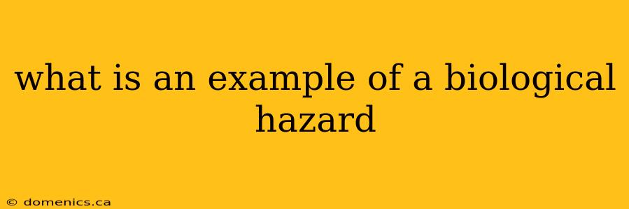 what is an example of a biological hazard